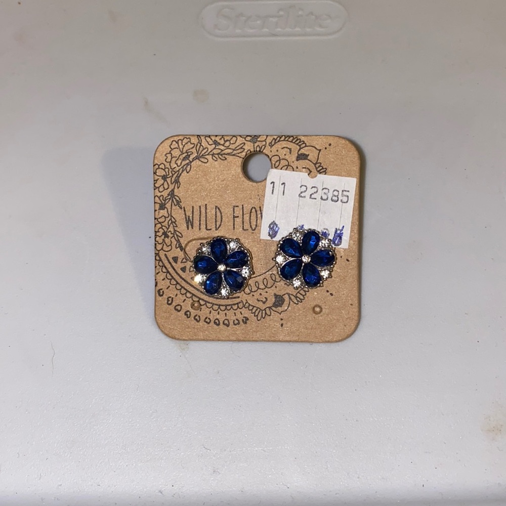 Blue earrings NWT